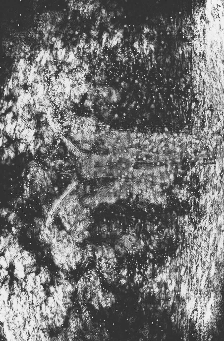 They Called Her Star&nbsp;Dust