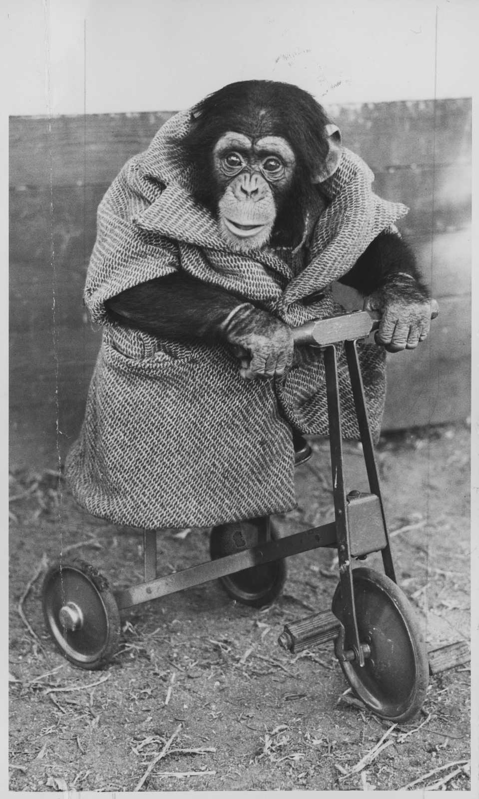 not much feel-good when the circumstances outweigh the circus&nbsp;bit